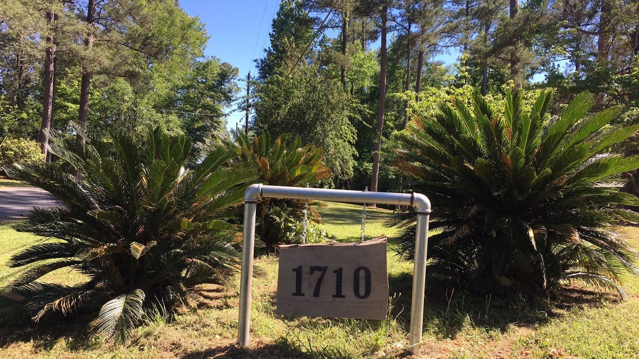Photo of Outdoor in Jacksons' Gap
