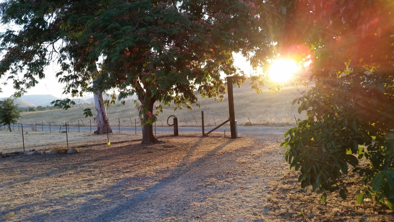 Photo of Outdoor in Springville