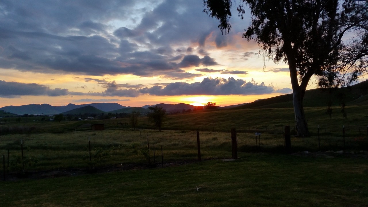 Photo of Outdoor in Springville