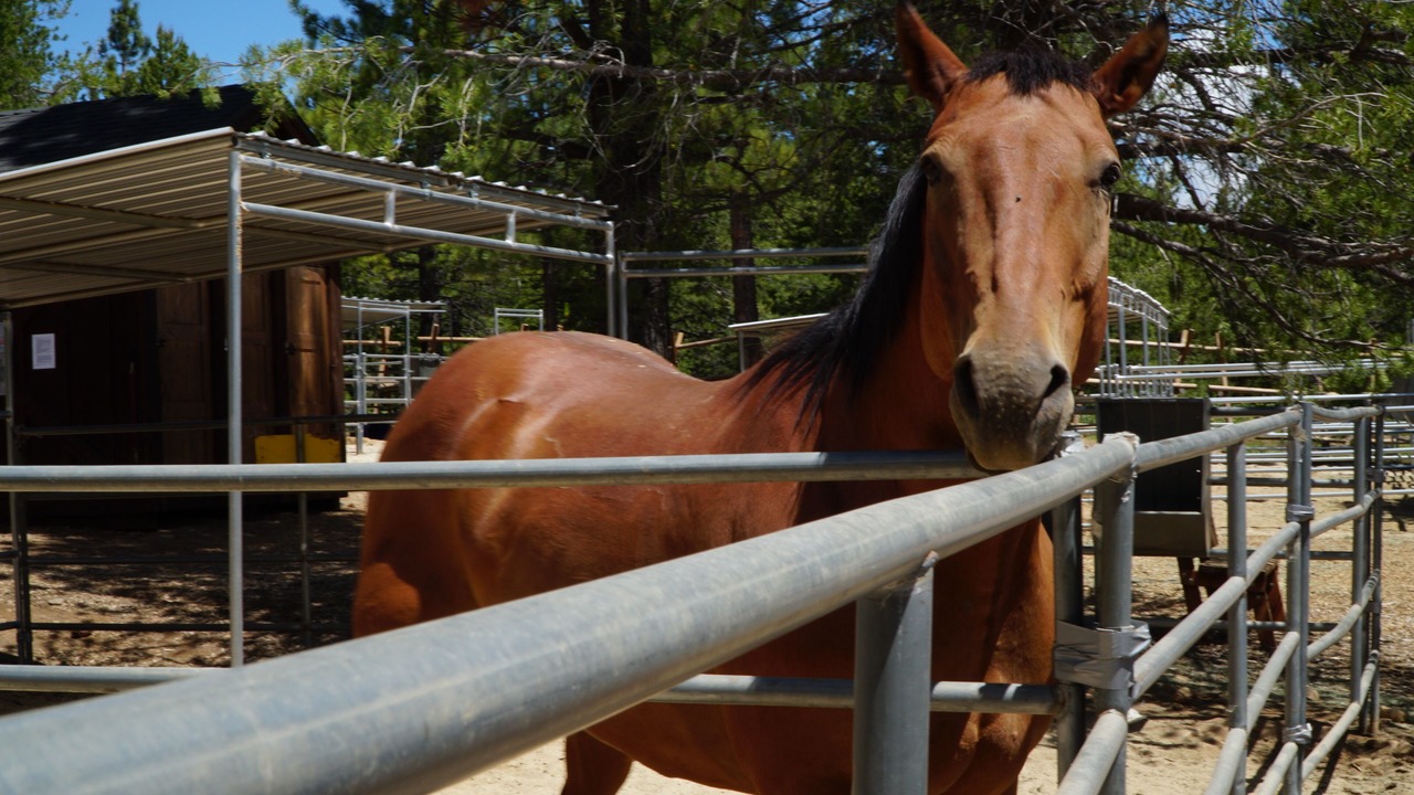 Photo of Others in Truckee