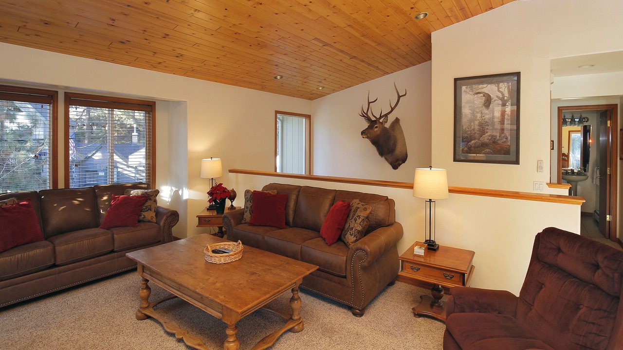 Photo of Livingroom in Zephyr Cove