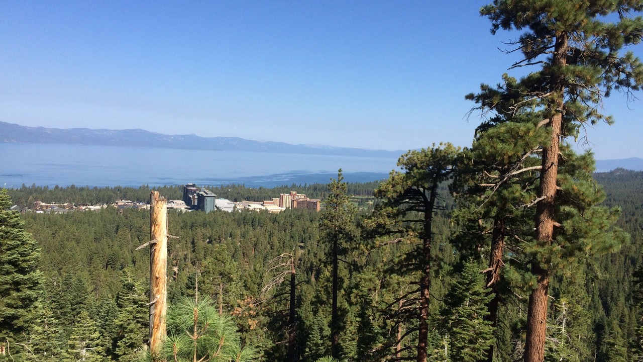 Photo of Outdoor in Zephyr Cove
