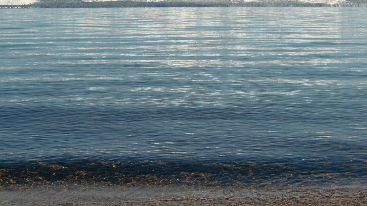 Photo of Outdoor in Zephyr Cove