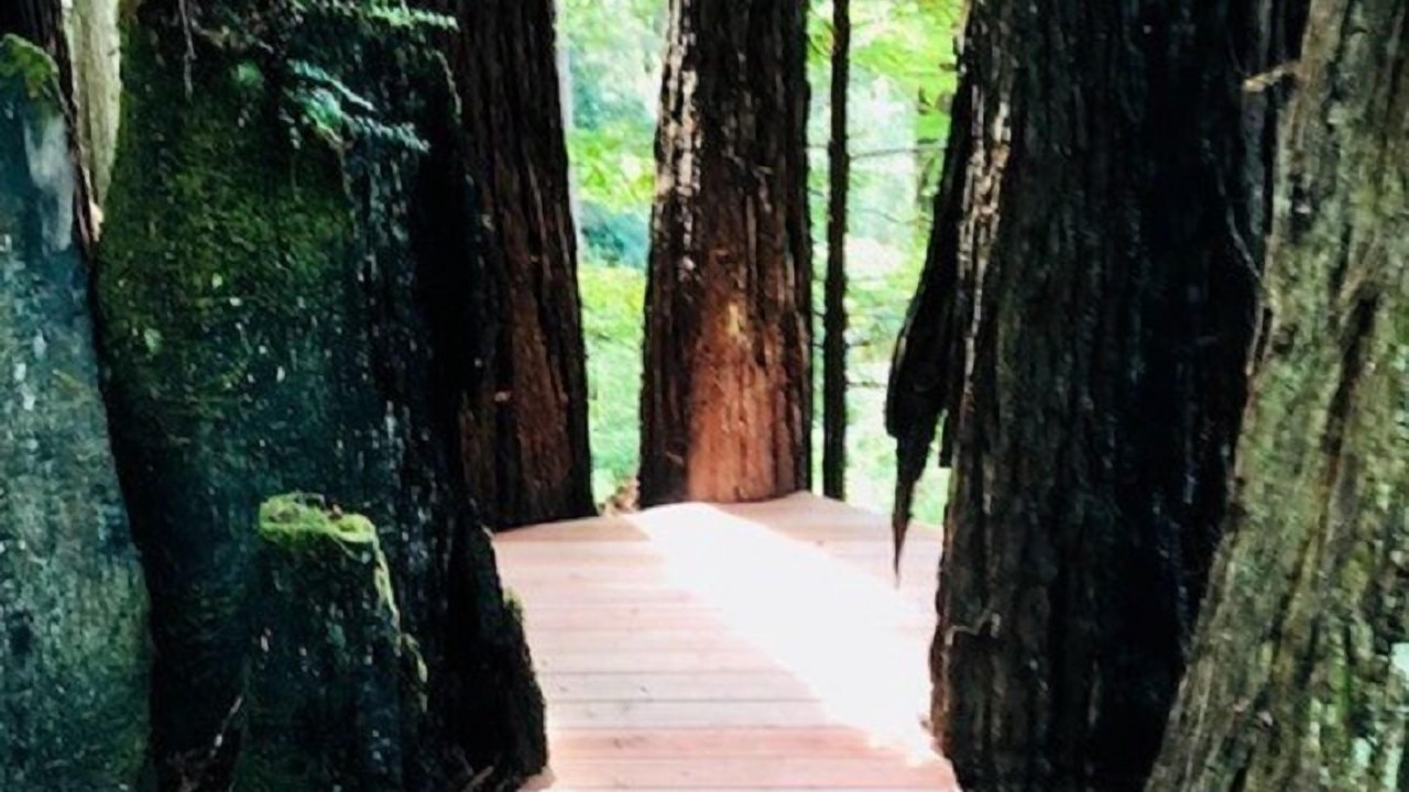 Photo of Outdoor in Mendocino