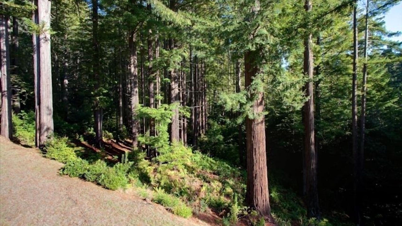 Photo of Others in Mendocino