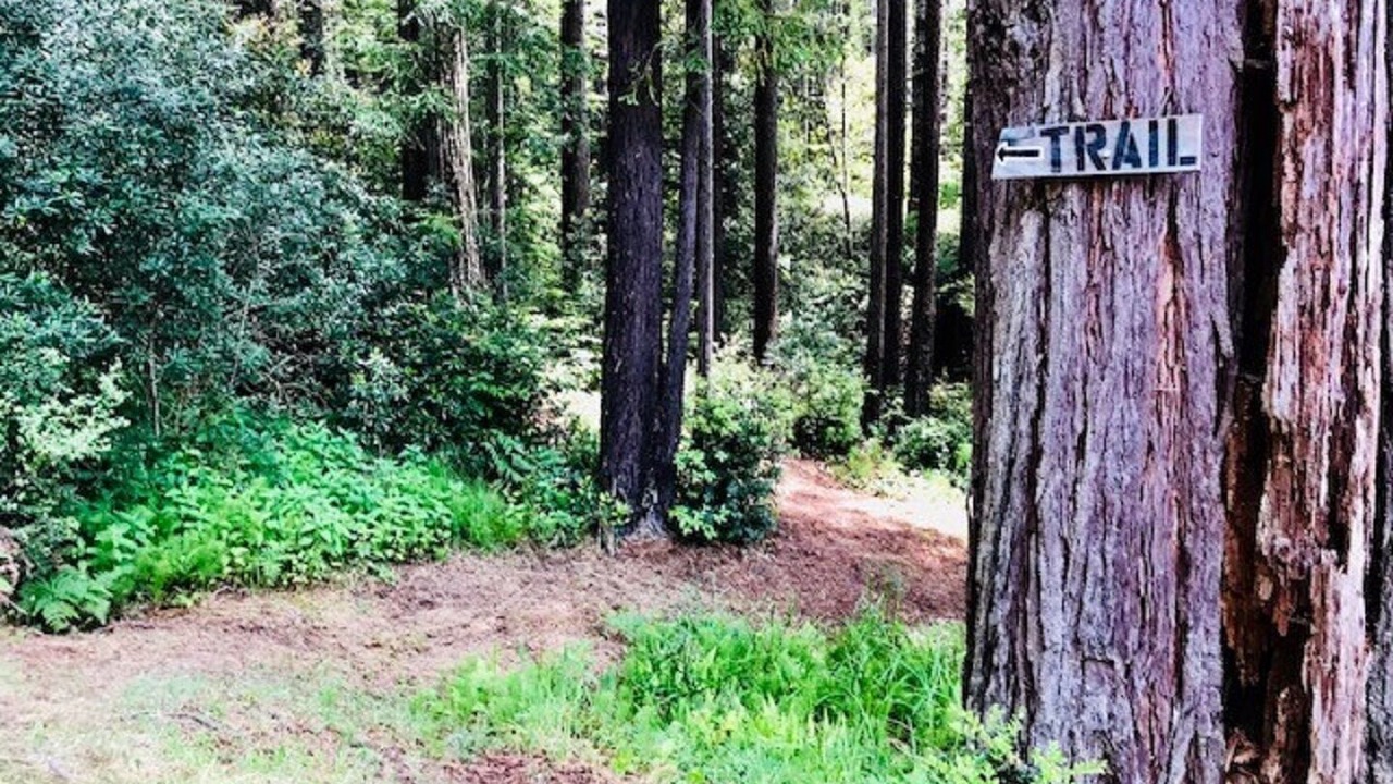 Photo of Others in Mendocino