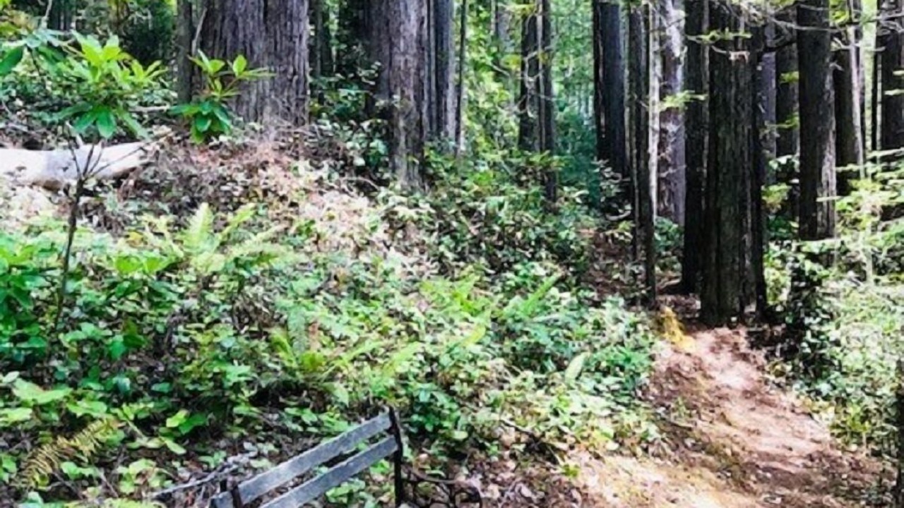 Photo of Others in Mendocino