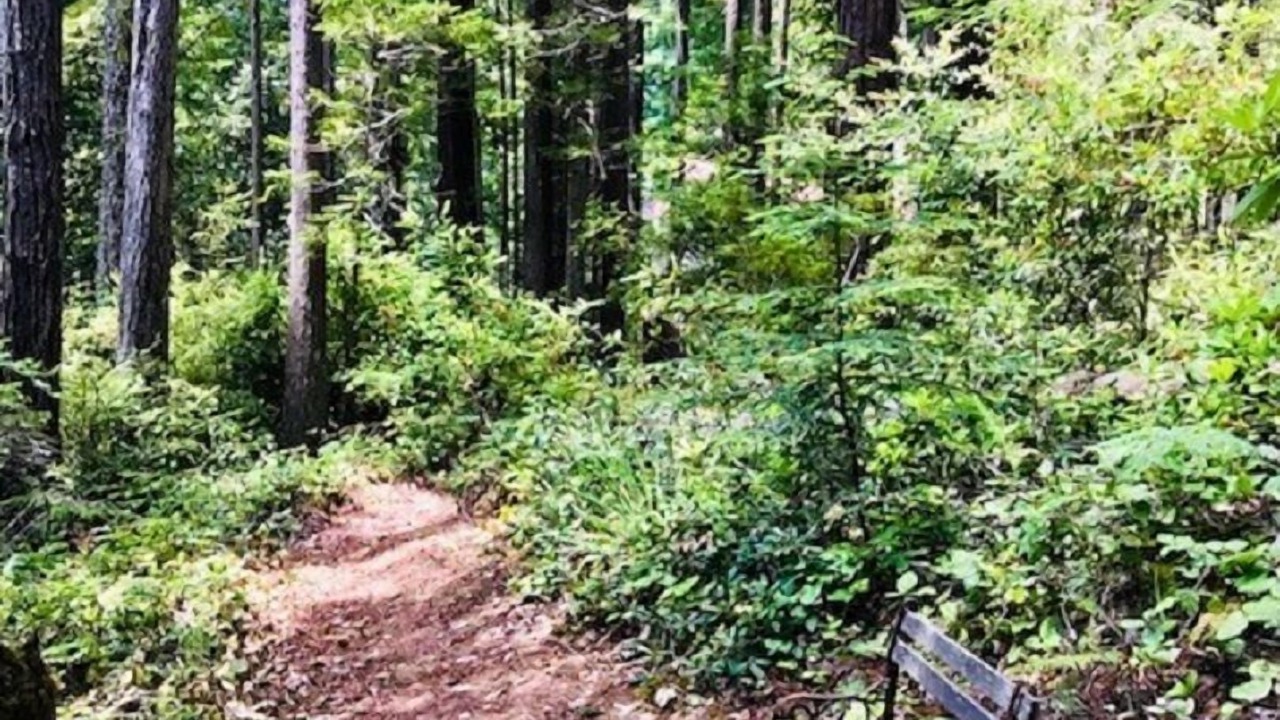 Photo of Others in Mendocino