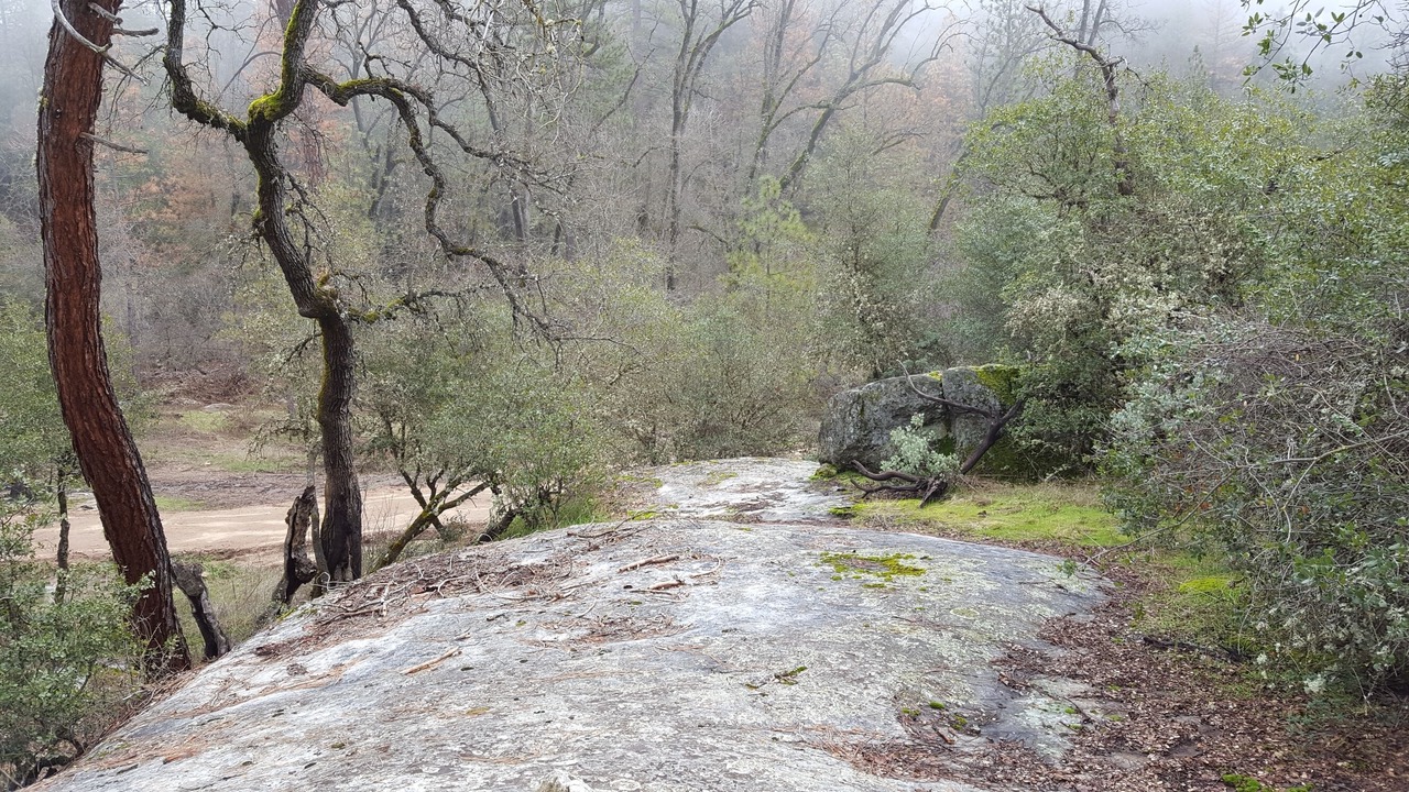 Photo of Others in North Fork