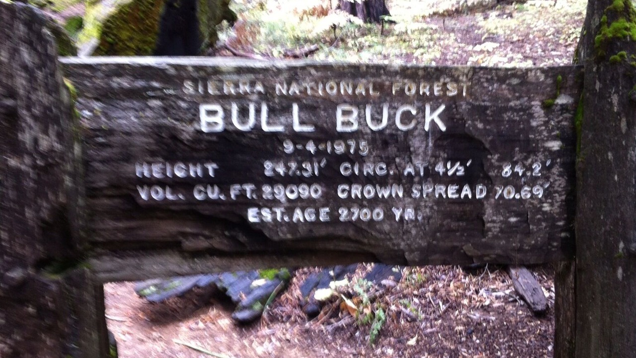 Photo of Others in North Fork