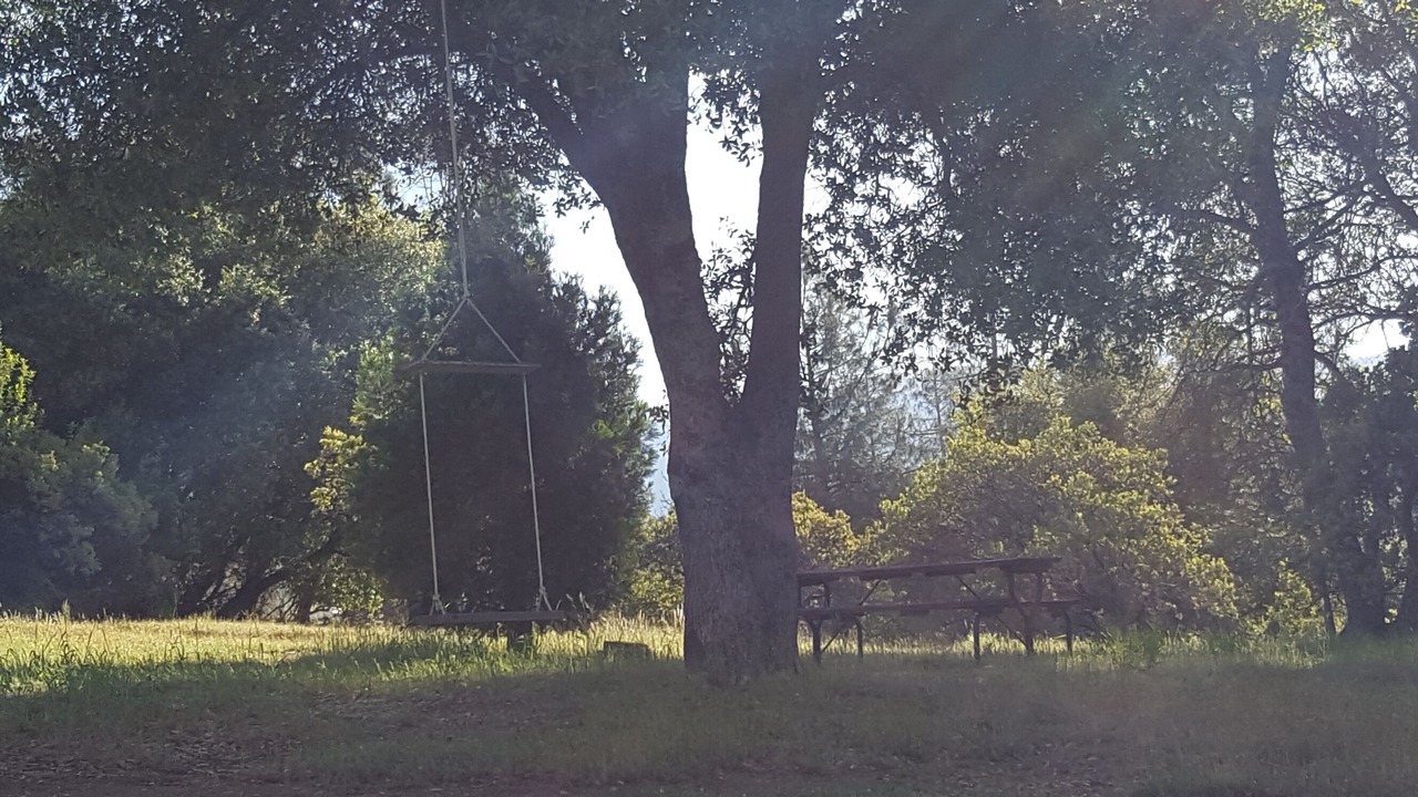 Photo of Others in North Fork