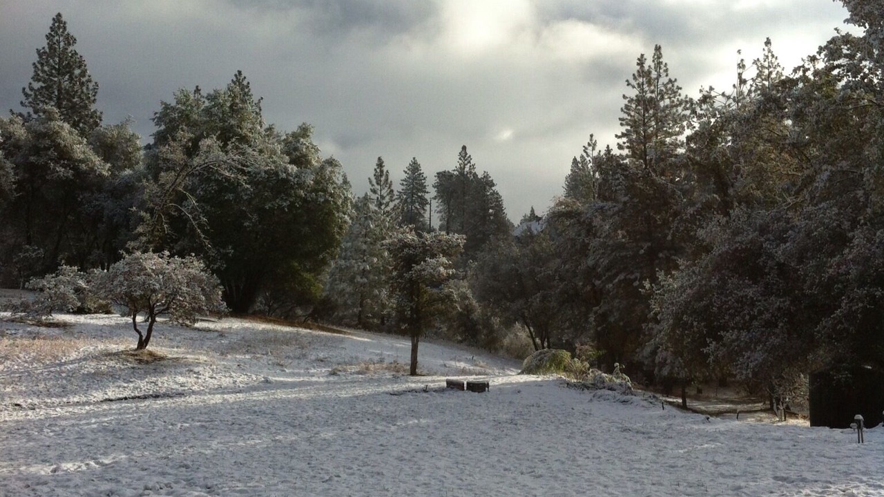 Photo of Others in North Fork