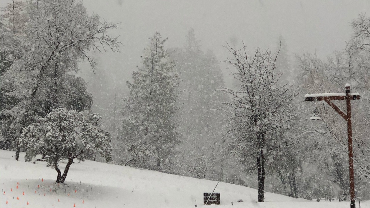 Photo of Others in North Fork