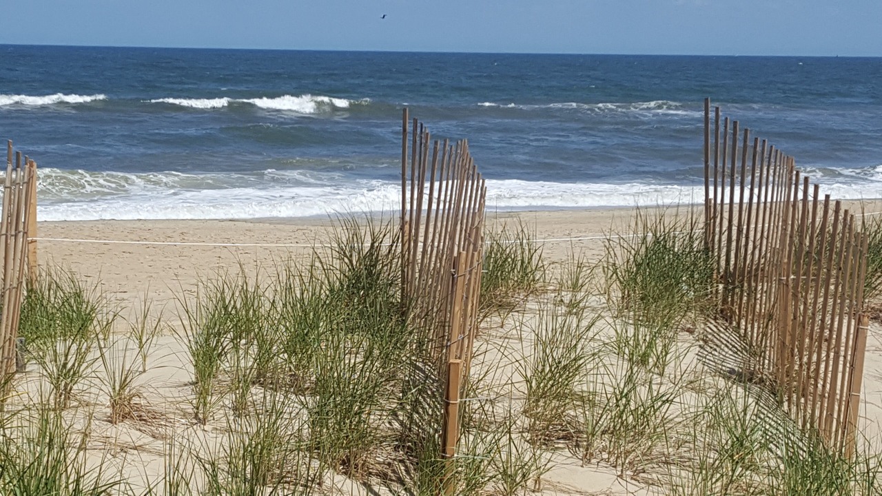 Photo of Others in South Nags Head