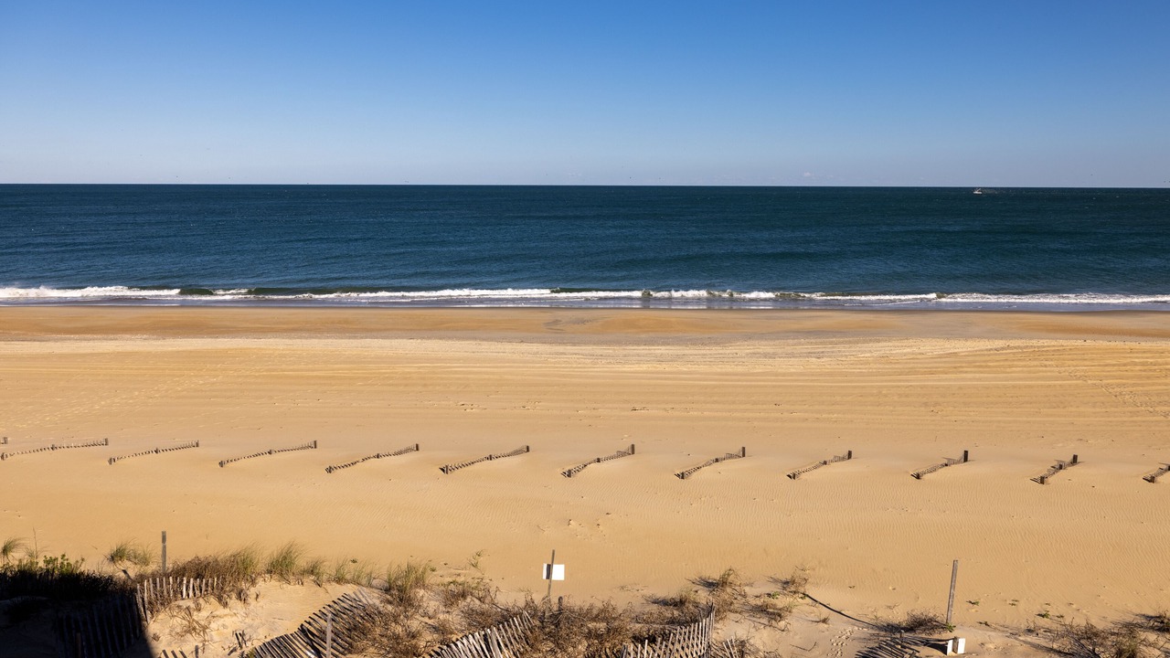 Photo of Others in South Nags Head