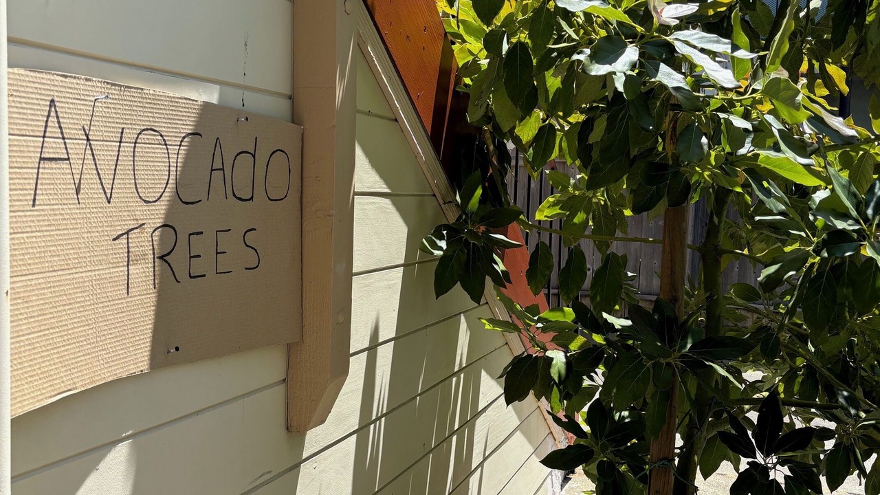 Photo of Others in Alameda