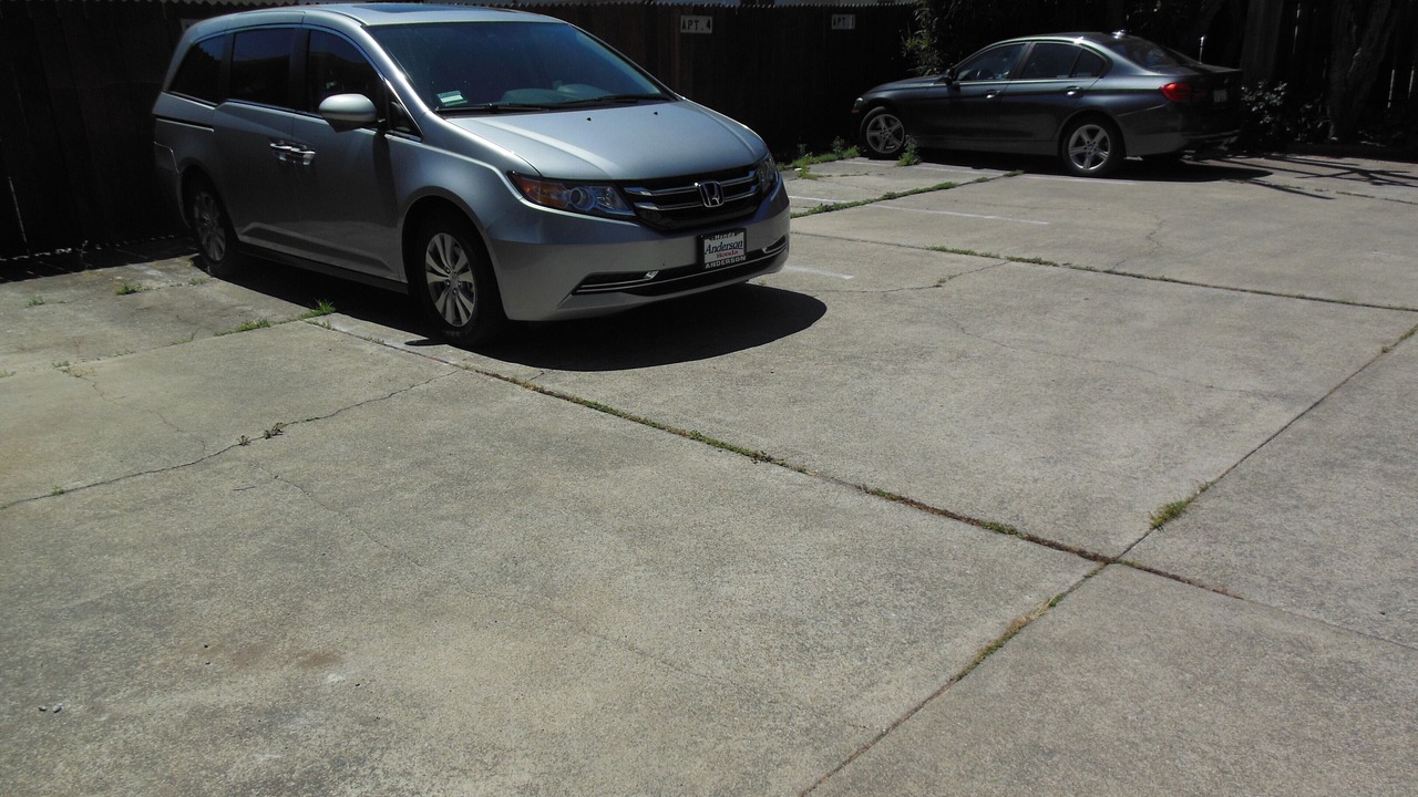 Photo of Others in Alameda