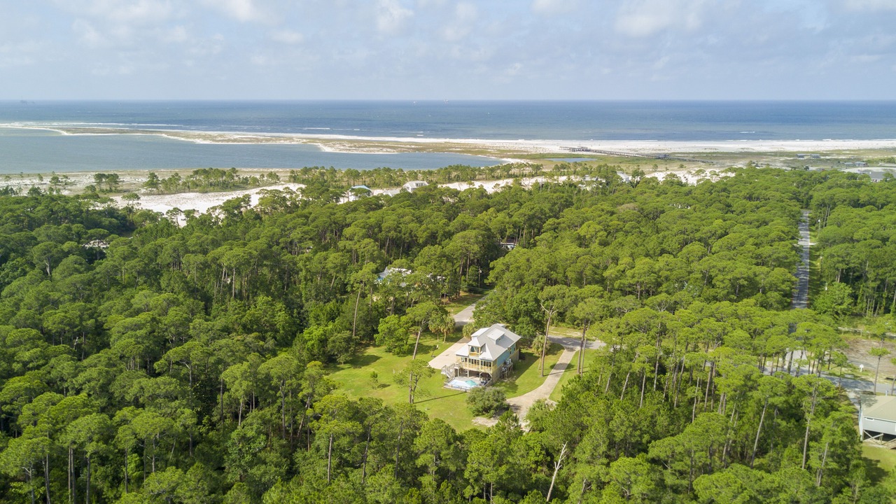 Photo of Others in Dauphin Island