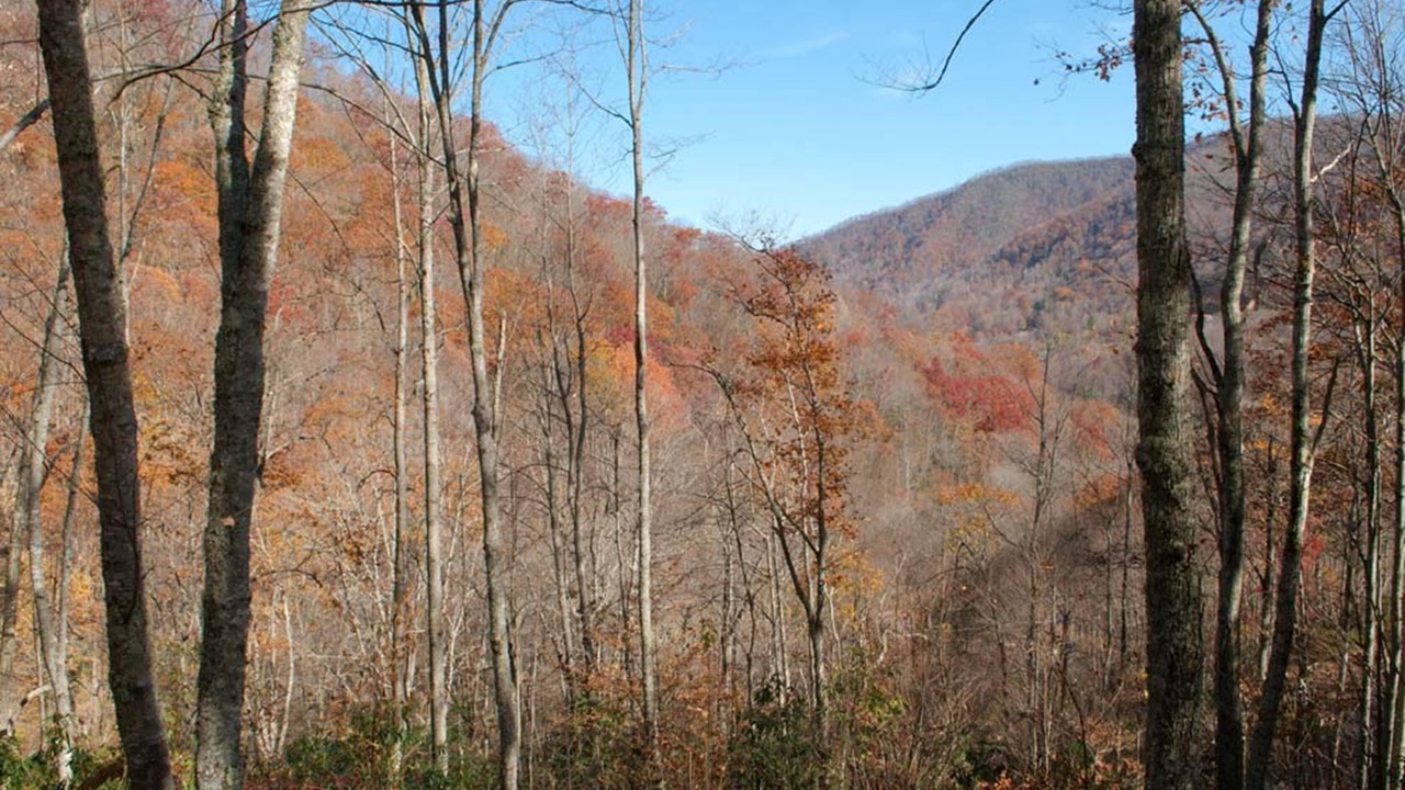 Photo of Outdoor in Maggie Valley