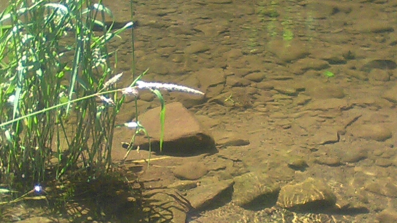 Photo of Others in Windham