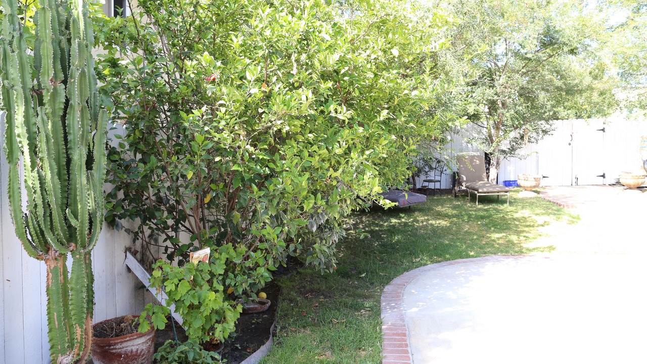 Photo of Outdoor in Laguna Beach