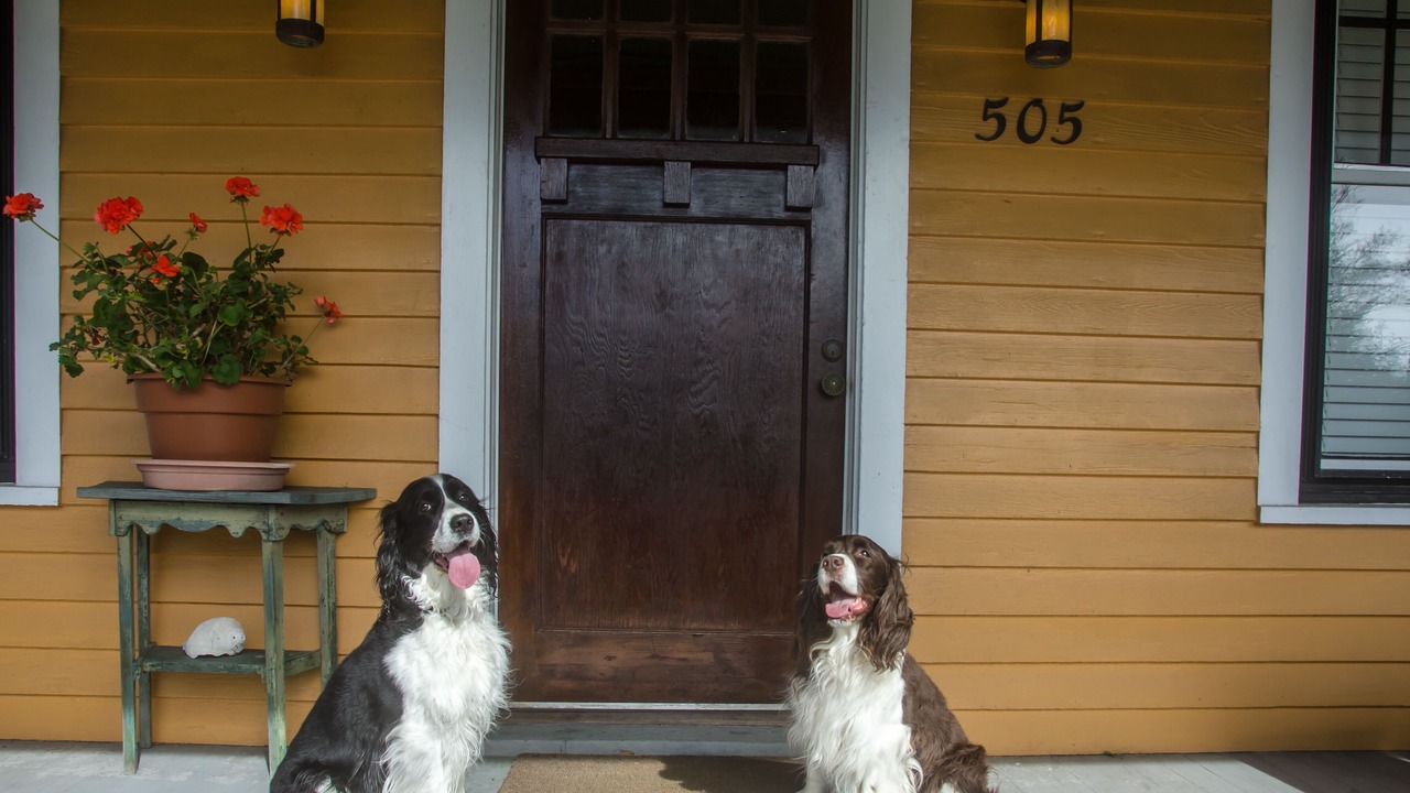 Photo of Outdoor in Historic Downtown Manteo