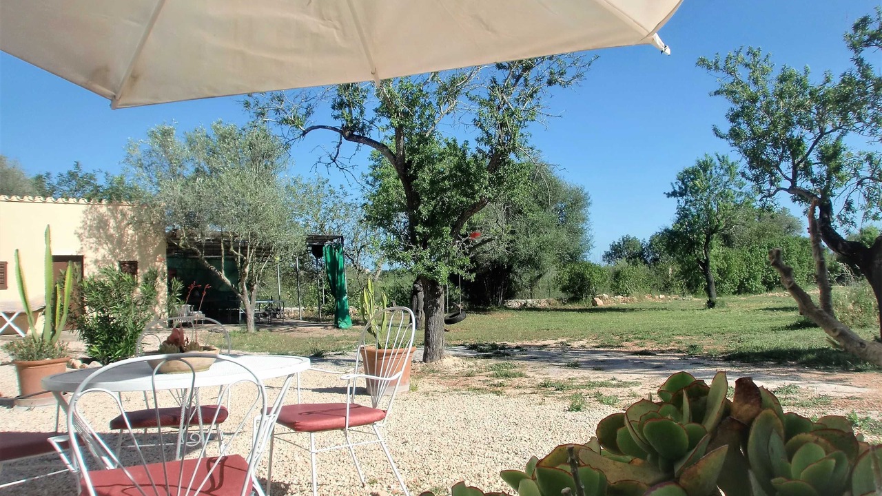 Photo of Outdoor in Son Antem