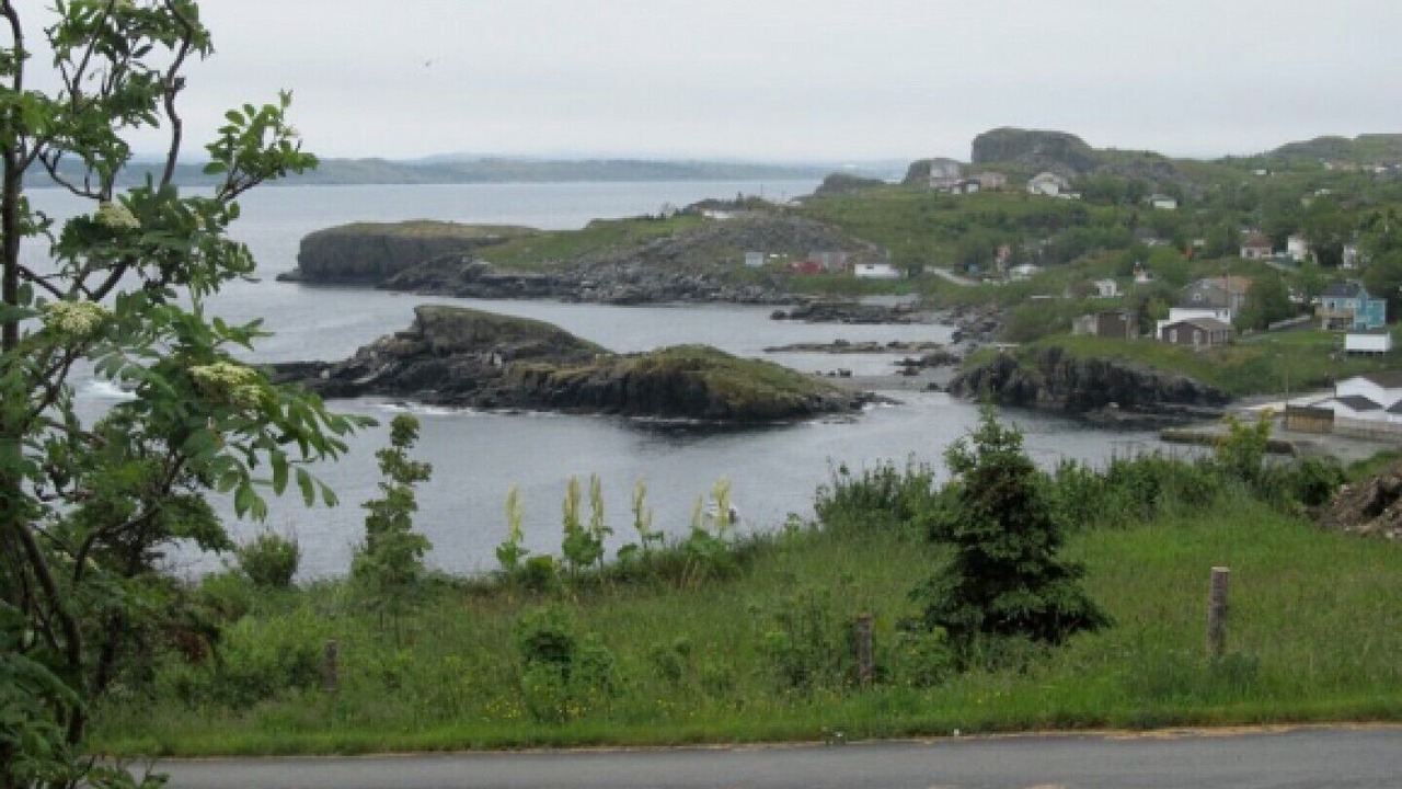 Photo of Outdoor in Terra Nova
