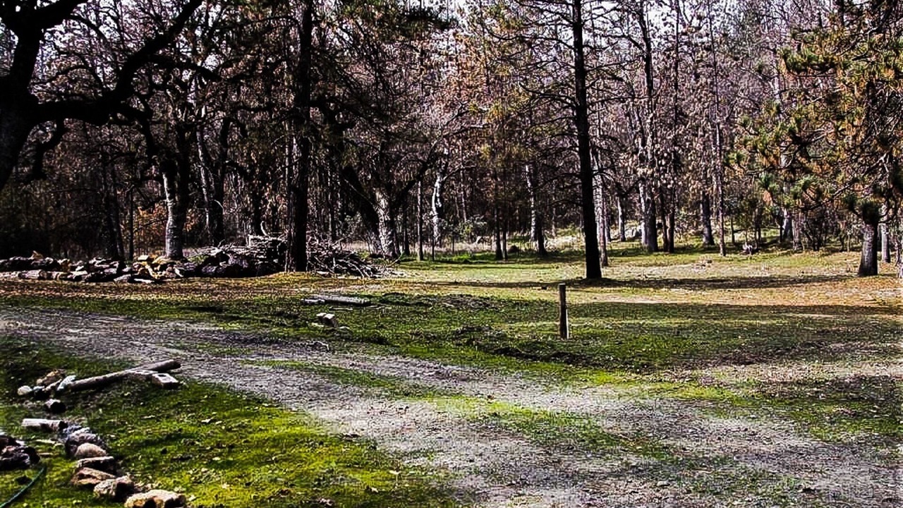 Photo of Others in Mariposa