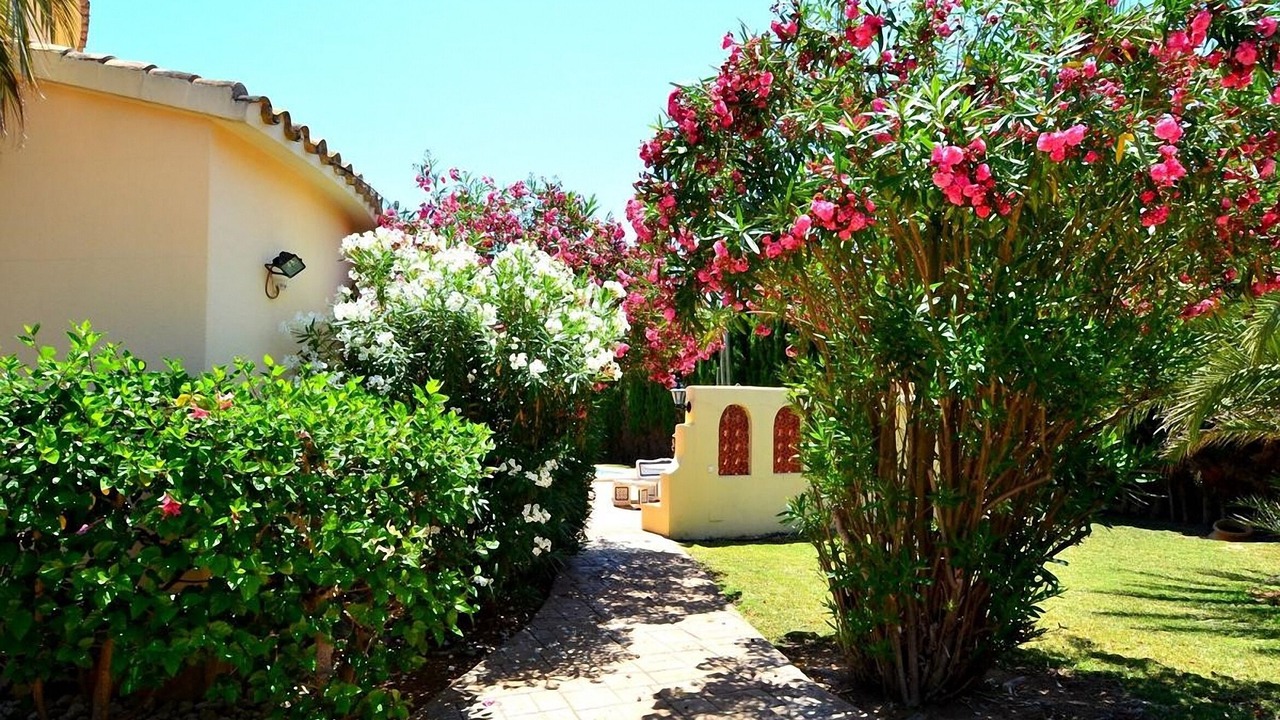 Photo of Outdoor in Molinell
