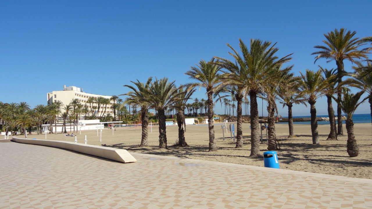 Photo of Others in Denia