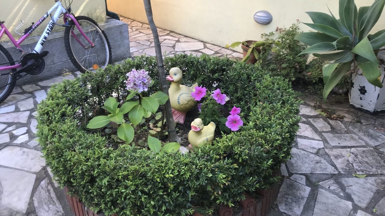 Photo of Outdoor in Lumiar