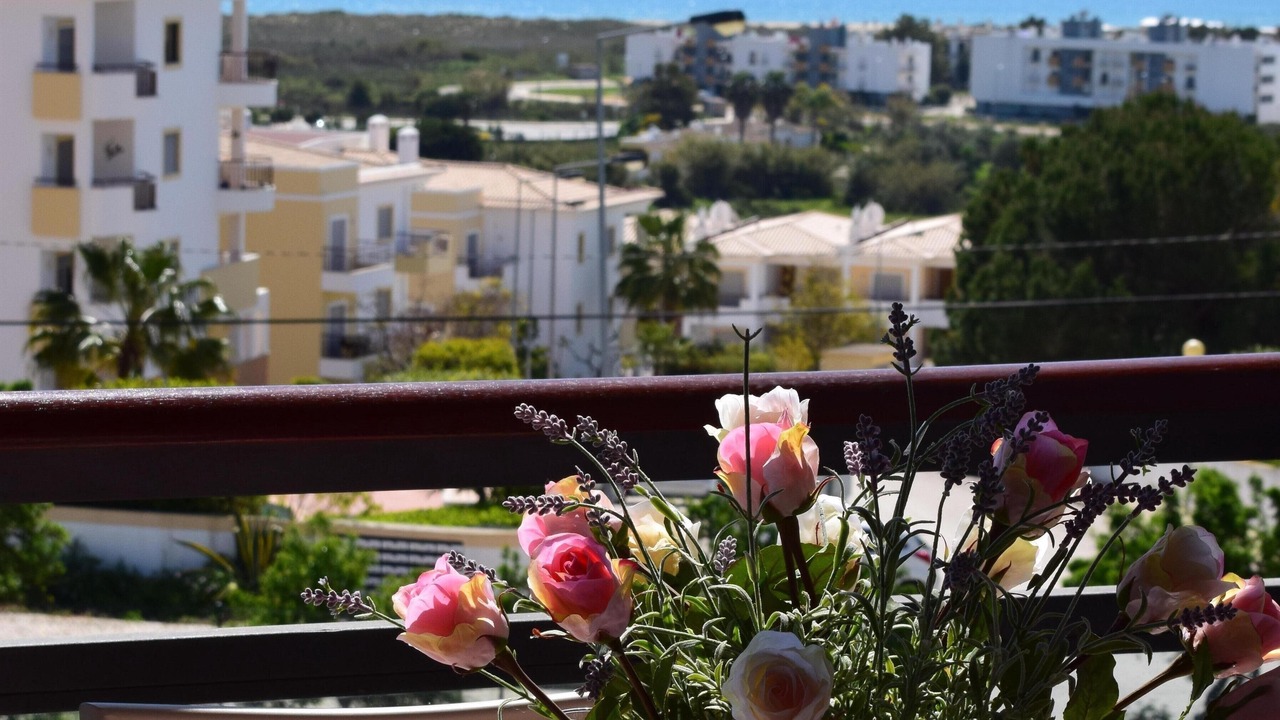 Photo of Outdoor in Telheiro