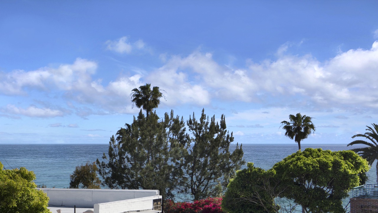Photo of Others in Laguna Beach
