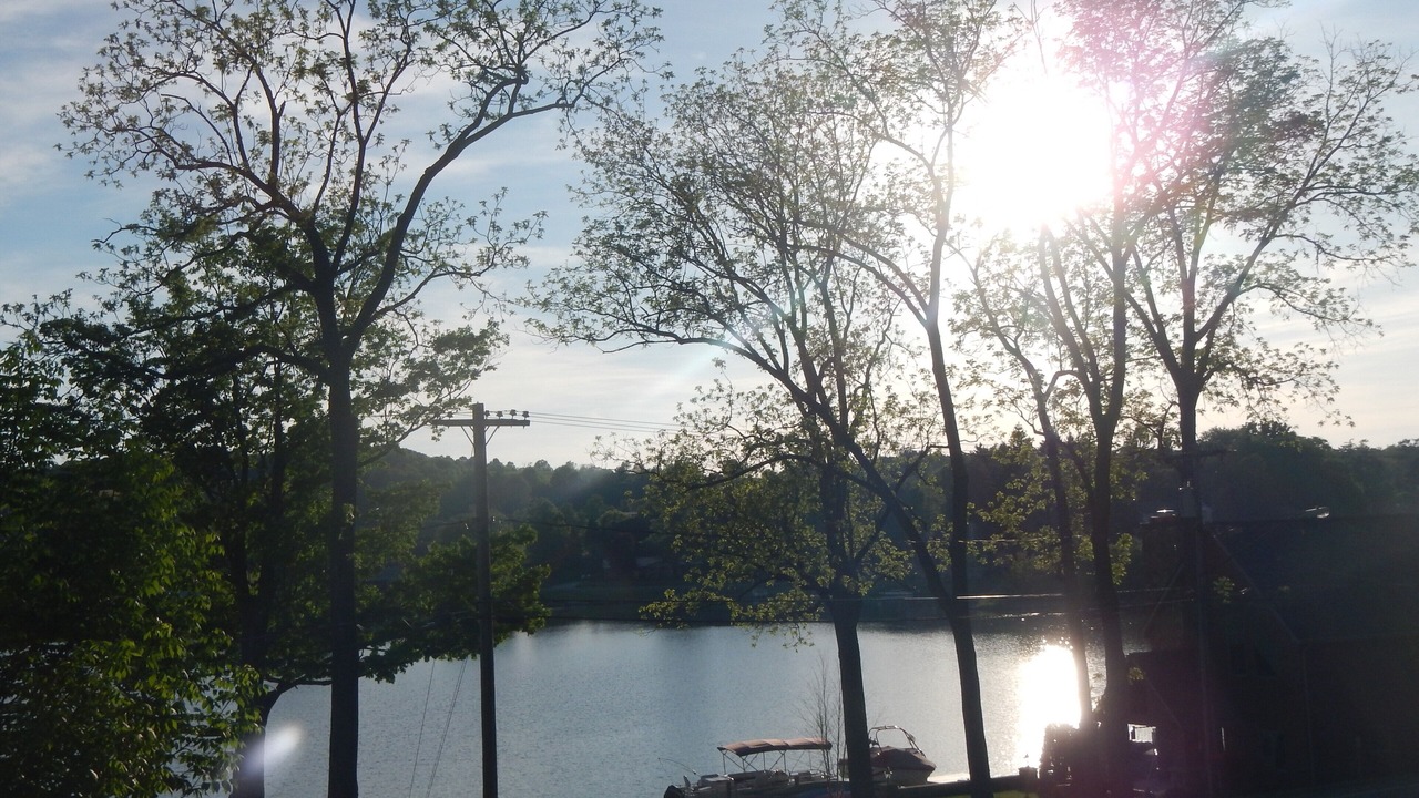 Photo of Others in Findley Lake