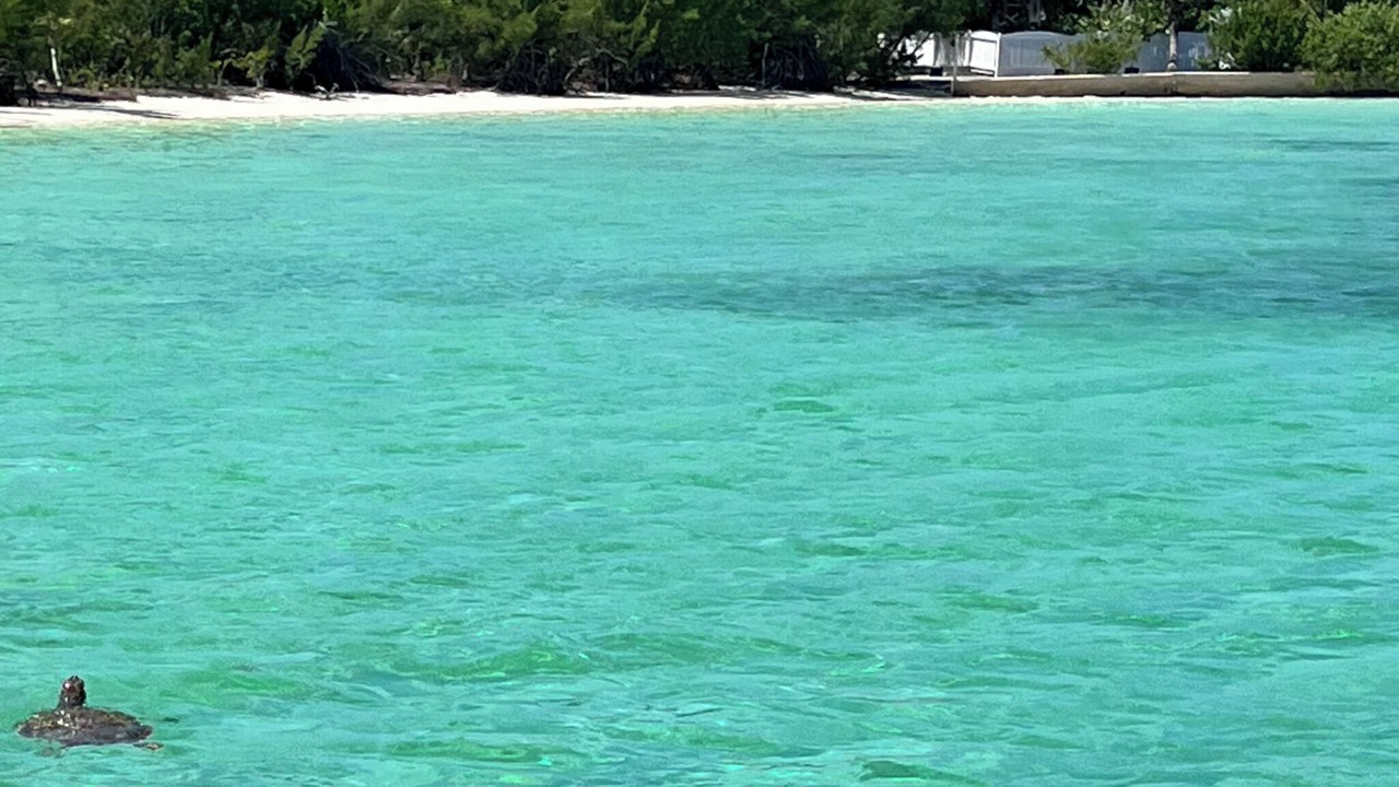 Photo of Others in Green Turtle Cay
