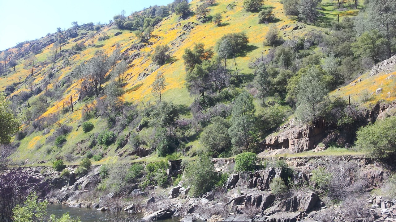 Photo of Others in Mariposa