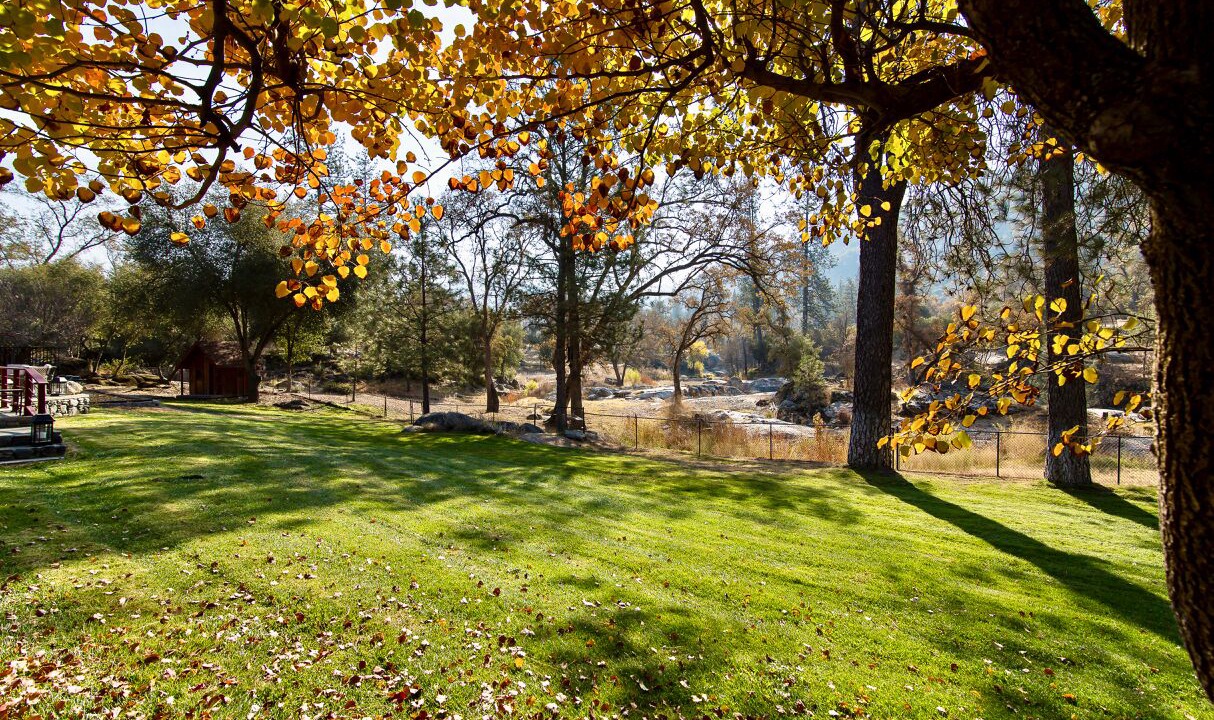 Photo of Others in Oakhurst