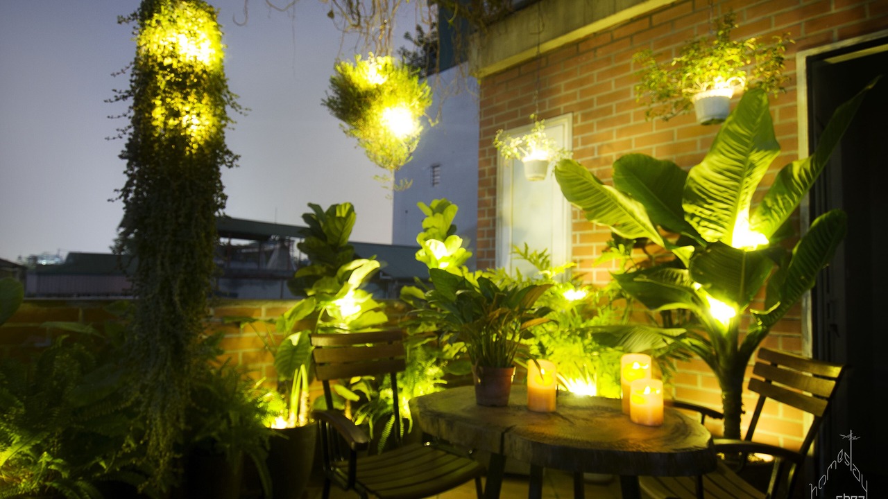 Photo of Outdoor in Dong Da