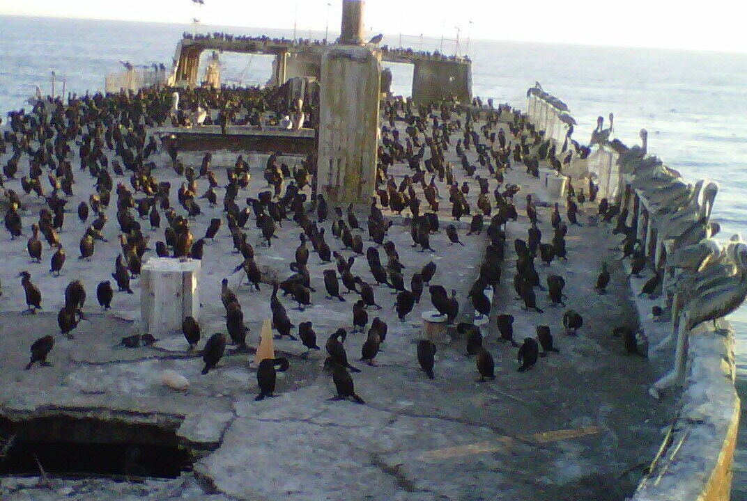Photo of Others in Aptos