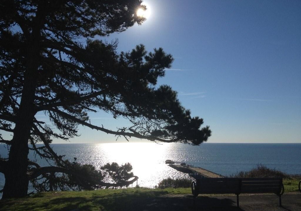 Photo of Others in Aptos