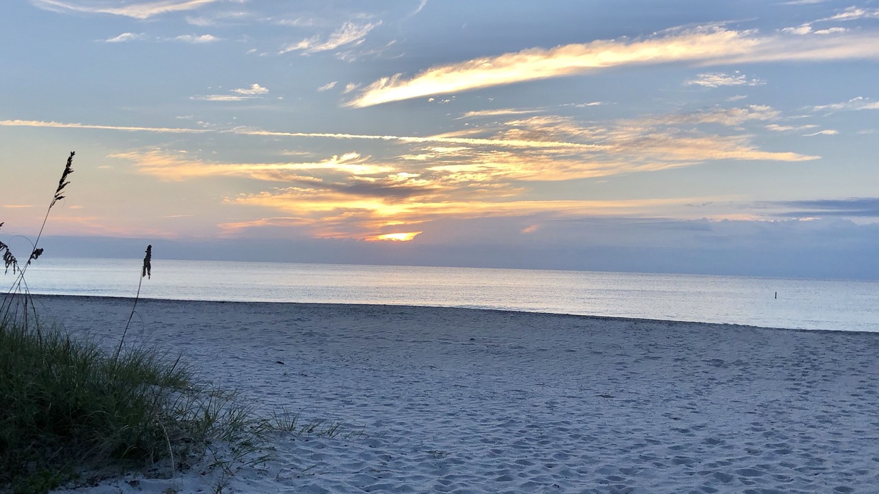 Photo of Others in Lauderdale Beach