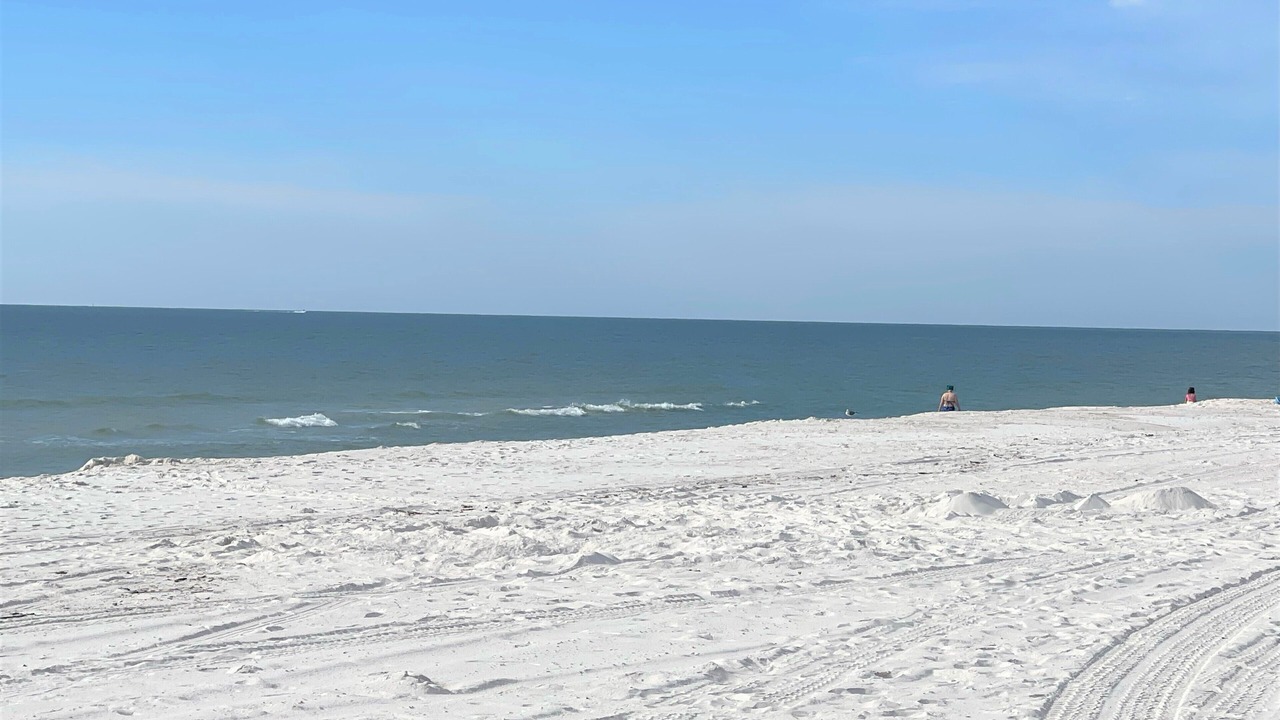 Photo of Others in Orange Beach East