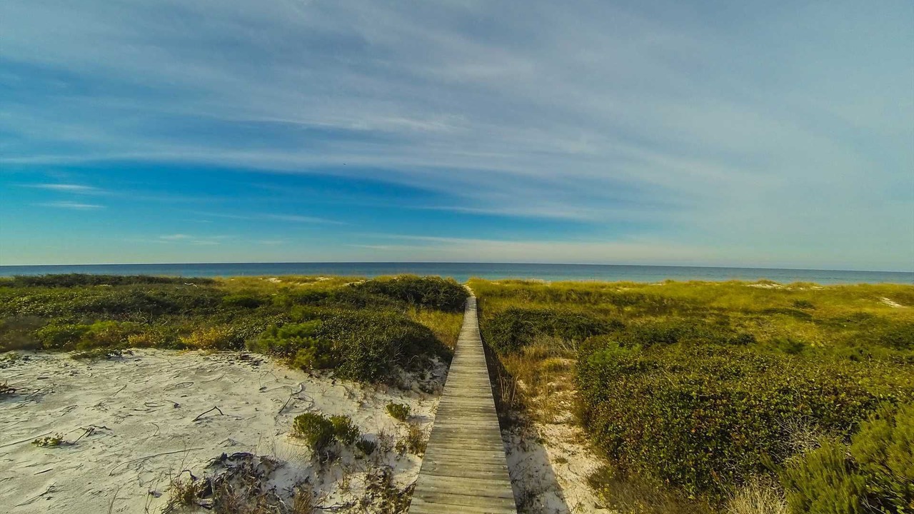 Photo of Others in Cape San Blas