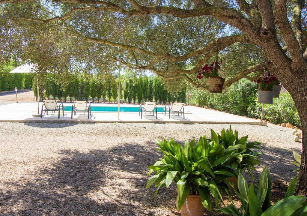 Photo of Outdoor in Algaida