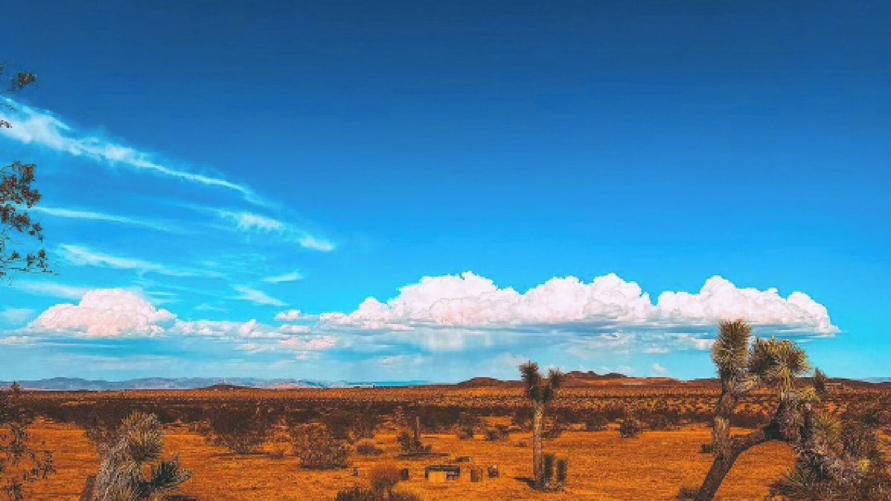 Photo of Others in Yucca Valley