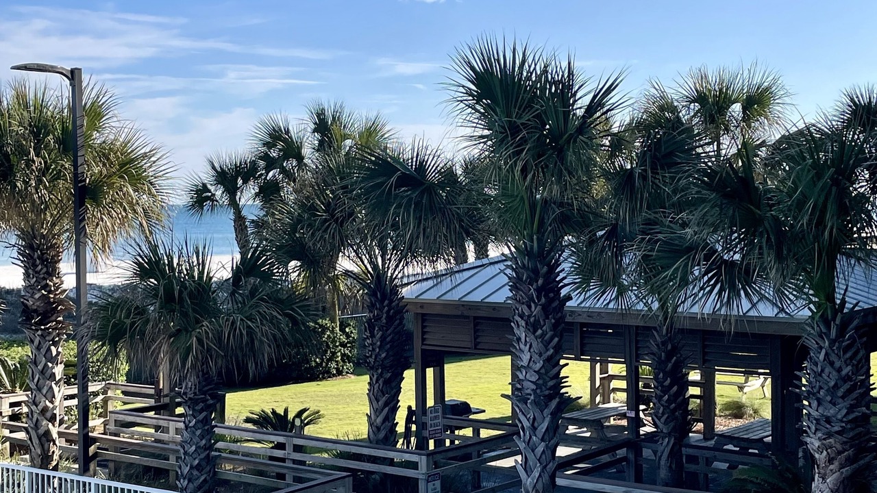 Photo of Others in Orange Beach East
