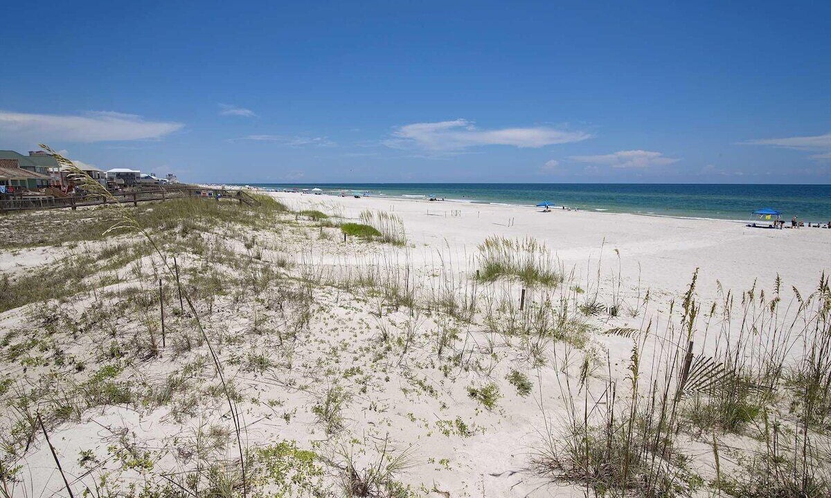 Photo of Others in Gulf Shores