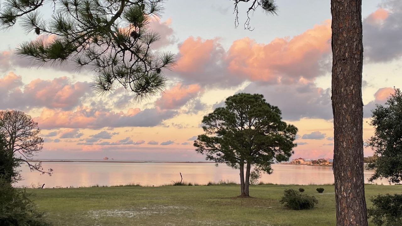 Photo of Outdoor in Dauphin Island