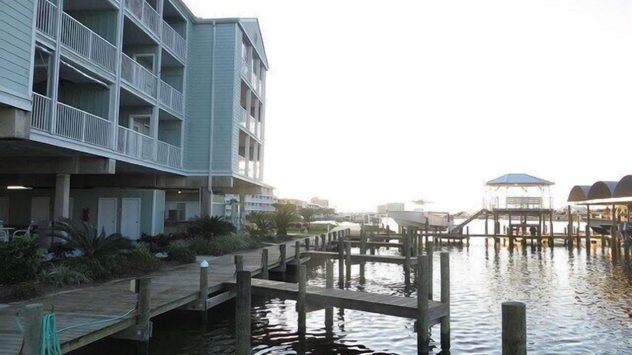 Photo of Others in Orange Beach East